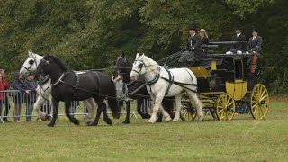 Des attelages de tradition défilent à lArche de nature [upl. by Ahsit142]