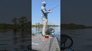 TOPWATER BASS FISHING IS INSANE RIGHT NOW [upl. by Wedurn]