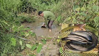 Make a pigeon coop and fish in the stream [upl. by Jewel]