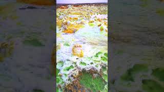 DALLOL VOLCANO 01 shortsvideo aventurevolcans voyage volcano aventure dallol shorts [upl. by Kendricks]