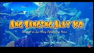 Ang Tanging Alay Ko quotSalamat sa iyo aking Panginoong Hesusquot with lyrics tangingalayko lyrics [upl. by Wengert]