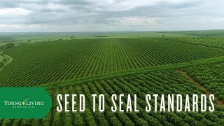 Seed to Seal Standards – What Sets Us Apart [upl. by Yrmac]