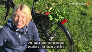 Språkcafé quotLägga rabarberquot [upl. by Retseh]