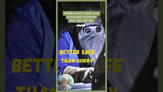 Better Safe Than Sorry  English Idiom SHORTS howtoimproveenglishskill eslteacher [upl. by Acemat]