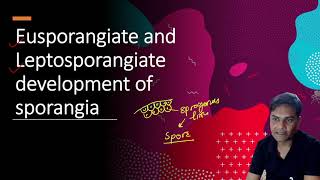 Eusporangiate and Leptosporangiate Development of Sporangia  Part 2 [upl. by Wohlen]