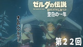 ゼルダの伝説BotW 22 片手でヴァ・ルーダニア戦だ！ 訛り配信 [upl. by Alexio27]