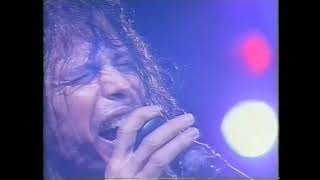 Aerosmith  Amazing 1993 Live Rio De Janeiro 1994 [upl. by Nali754]