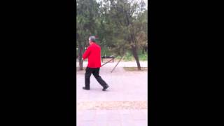 Cheng BaGuaZhang Eight Fists Palms and Elbows BaQuanBaZhangBaZhou [upl. by Riella334]