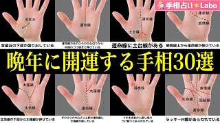 【手相占い】50歳以降の人生後半に運勢が劇的に良くなる！老後に困らない手相30選〜老後安泰・大器晩成・晩年運〜 [upl. by Yniffit]