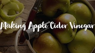 Making Apple Cider Vinegar [upl. by Danzig]