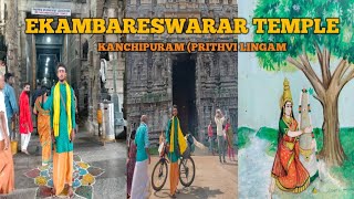 3500 YEAR 0LD MANGO TREE EKAMBARESWARAR TEMPLE PRITHVI LINGAM TEMPLE [upl. by Constantina]