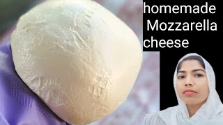 I Made Homemade Mozzarella Cheese in 5 Minutes [upl. by Bathesda]