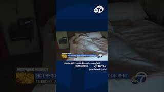 New hot bedding trend saves renters money by sleeping shifts [upl. by Vierno432]