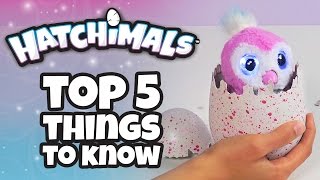 Hatchimals  Top 5 Things You Need To Know About Hatchimals [upl. by Wallinga]