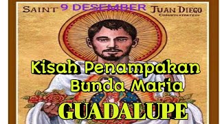 KISAH PENAMPAKAN BUNDA MARIA GUADALUPESANTO JUAN DIEGO [upl. by Yerahcaz]