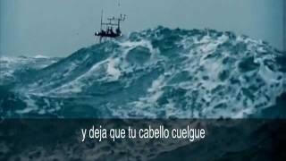 Concrete Blonde the Ship Song Subtitulada Español [upl. by Atteuqram]