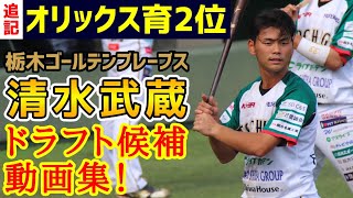 清水武蔵！ドラフト候補動画集！オリックスバファローズ育成２位！栃木ゴールデンブレーブス！ [upl. by Ecneralc164]