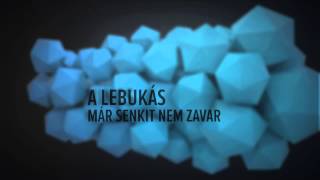 Vastag Csaba  Őrült éjjel Official Lyric Video [upl. by Susi638]