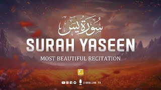 Worlds best recitation of Surah Yaseen  سورة يس ⋮ Healing Quran ⋮ Zikrullah TV [upl. by Plath]