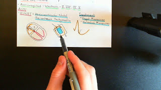 Cardiac Arrhythmias Part 6 [upl. by Darelle]