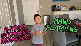 Hand Flapping  Autism Stimming Behaviors [upl. by Sender967]