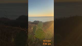 delmar beach cacti torreypines [upl. by Suiravaj634]