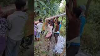 manual installation of electrical pole bihar electricity india viralvideo [upl. by Dnomad]