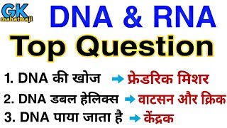 DNA amp RNA Top Question  Biology gk Question  RRB JE SSC [upl. by Llewop]