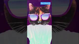 Pete the Cat and the Cool Cat Boogie catglases catlovers petlover pet shortvideo [upl. by Aifas655]