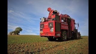 HOLMER EXXACT T430  JOHN DEERE 6190R  Benne [upl. by Paradies]