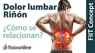 Riñón y dolor de espalda en la zona lumbar  ¿Cómo se relacionan [upl. by Elleved257]