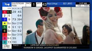 Gulfstream Park Handicapping Show December 1 2023 [upl. by Ursulina]