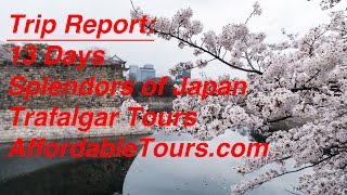 Review  Splendors of Japan  Trafalgar Tours [upl. by Laflam]