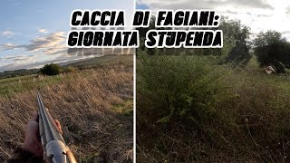 CACCIA DI FAGIANI quot UNA GIORNATA STUPENDA quot  4 fagiani [upl. by Cello701]