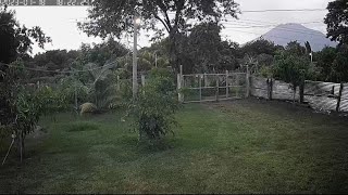 🛑 MOMENTO EXACTO del SISMO de ULTIMA HORA en EL SALVADOR 🇸🇻 [upl. by Ruhtua]