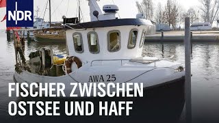 Zwischen Ostsee und Haff  Vom Überlebenskampf der letzten Fischer  Die Nordreportage  NDR [upl. by Yelahs]