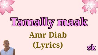 Amr Diab  Tamally Maak Lyrics tamally maak [upl. by Rahcir42]