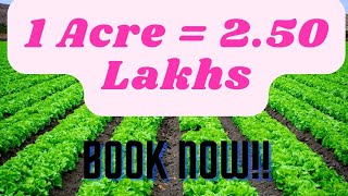 250 Lakh per Acre  Agriculture land in Tamil nadu [upl. by Araic]