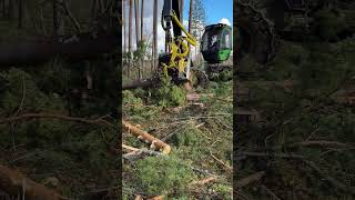 JawDropping Forest Harvester in Action🌲🌲🌲 [upl. by Sardse]