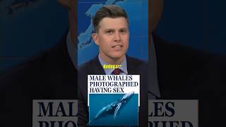 quotMALE WHALES PHOTOGRAPHED HAVING Squot 😱🤣 COLIN JOST shorts [upl. by Atima132]