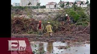 El ecocidio en el manglar de Tajamar en Cancún  Atalo Mata [upl. by Nanice]