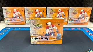 202324 Upper Deck Synergy Hockey Hobby Box na SbirejhokejCZ [upl. by Arihat]