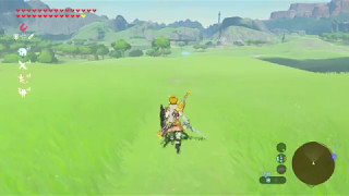 Zelda botw  Lézards tempo et Sauterelles enduro  Morsproduct [upl. by Grannia]