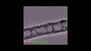 Li platingstripping for 100 cycles in a single carbon tubule with internal obstacles [upl. by Isherwood]