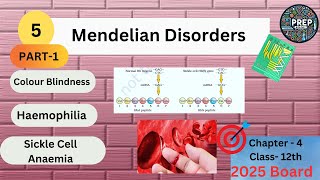 Mendelian Disorders Part1  Colour Blindness  Haemophilia  Sickle Cell Anaemia 12th Biology [upl. by Orianna]