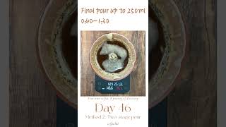 PourOver Coffee Daily RecipeDay46 GX2 Syphon with extension tube booster Methods2 Twostage pour [upl. by Htez]