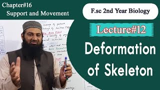 Biology Ch16Lecture12 Deformation of skeleton FSc 2nd Year [upl. by Nilo]