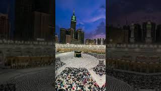 Main kaaby ko dakho ga love beautifulmadina islamicbelief islamicshorts ytshorts [upl. by Antonio56]