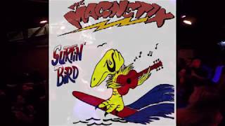 The Magnetix  Surfin Bird live in Moscow 13022016 [upl. by Haldi]