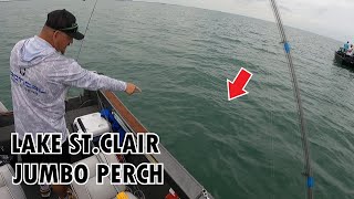 SIMPLE FISHING FOR LAKE STCLAIR JUMBO PERCH  LAKE STCLAIR FISHING [upl. by Havard646]